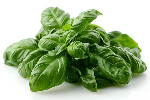 Albahaca