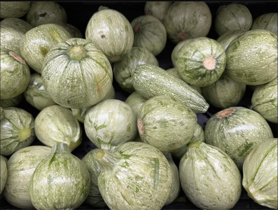Calabaza Mexicana