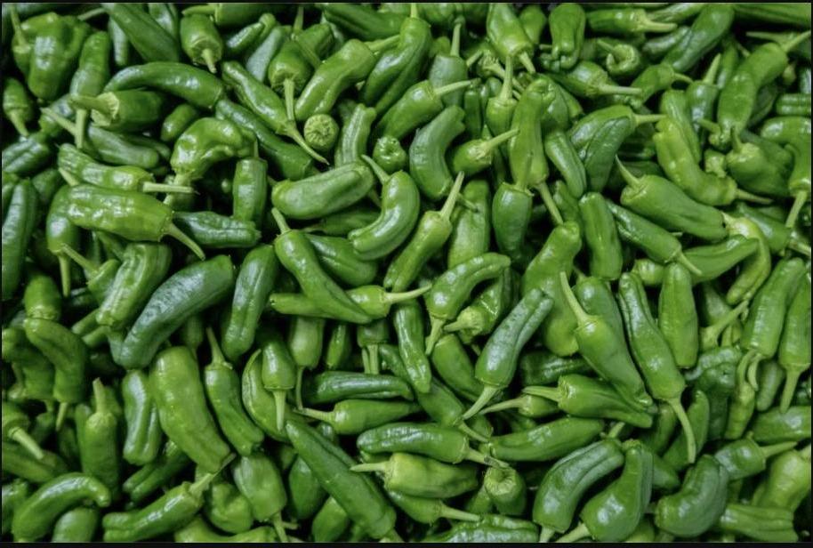 Chile Shishito