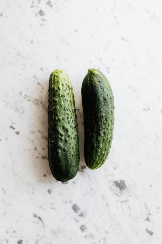 Pepino Persa